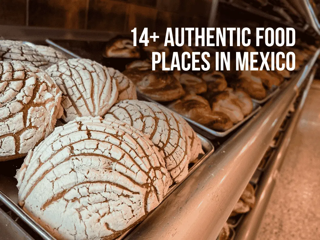 14+ Authentic Food Places in Mexico [Tacos, Tamales & Hidden Gems – 2025]