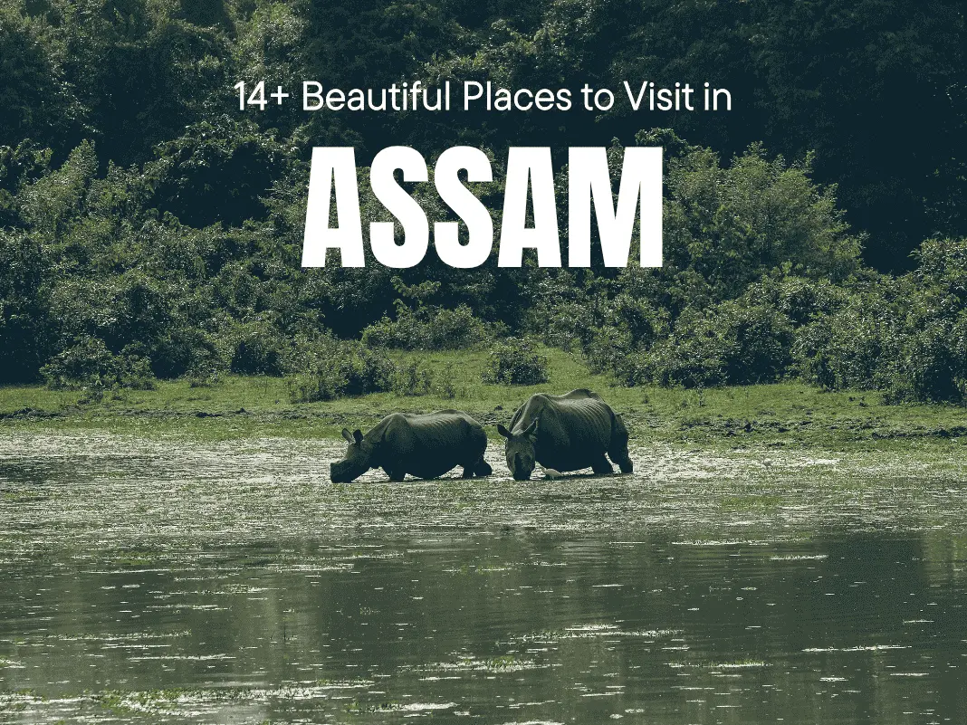 14+ Beautiful Places to Visit in Assam in 2025 | Temples, Tea Gardens & Hidden Nature Gems