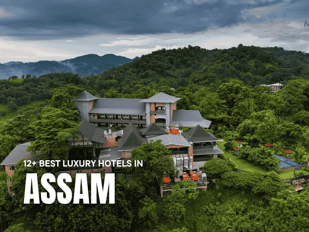 12+ Best Luxury Hotels in Assam | Tea Estate Bungalows, Riverfront Retreats & Jungle Lodges – 2025 Edit