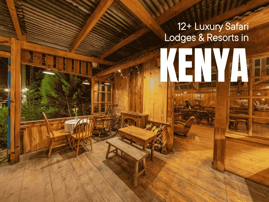 12+ Luxury Safari Lodges & Resorts in Kenya