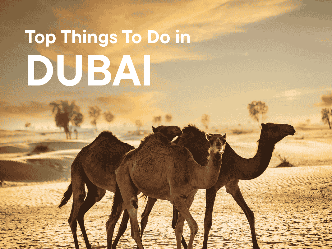 Top Things To Do in Dubai [Unique Attractions & Experiences – 2025 Guide]