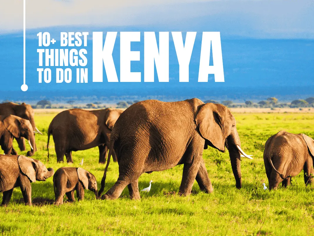 18+ Top Things to Do in Kenya for 2025