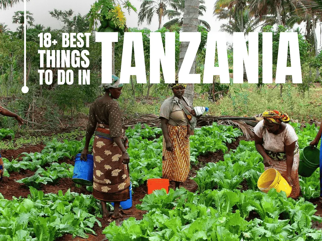 18+ Best Things to Do in Tanzania – Safari, Culture & Beaches