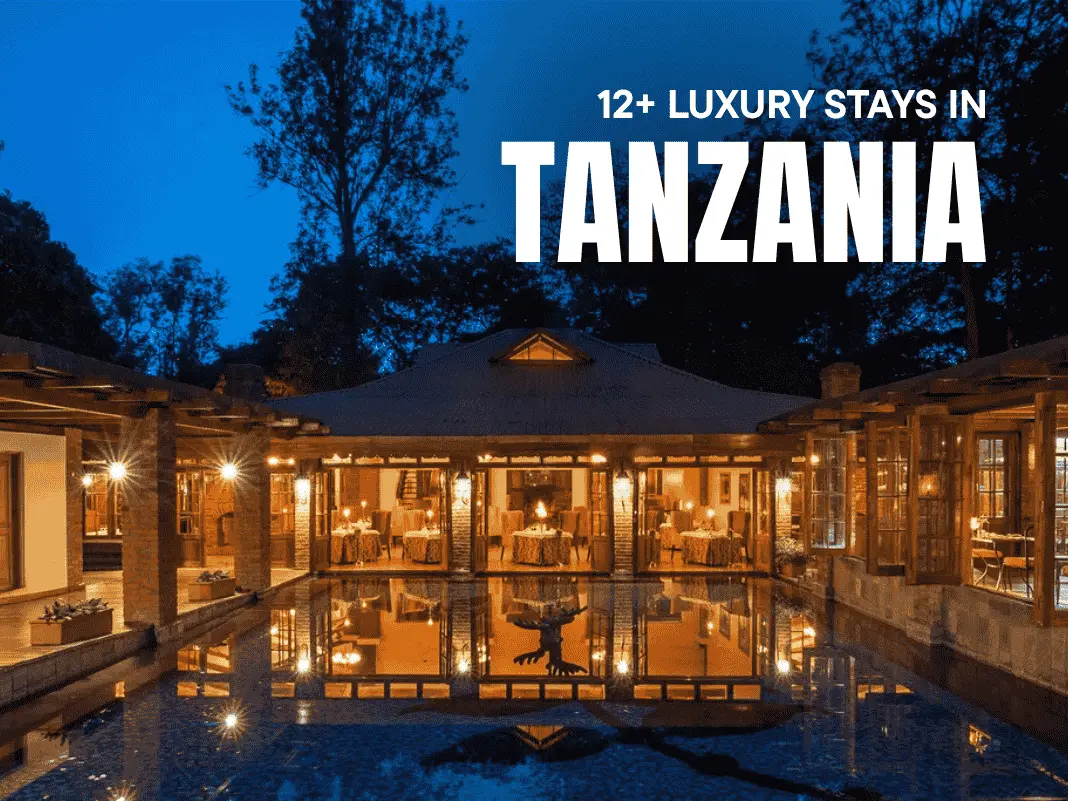 12+ Luxury Stays in Tanzania – From Safari Lodges to Island Villas