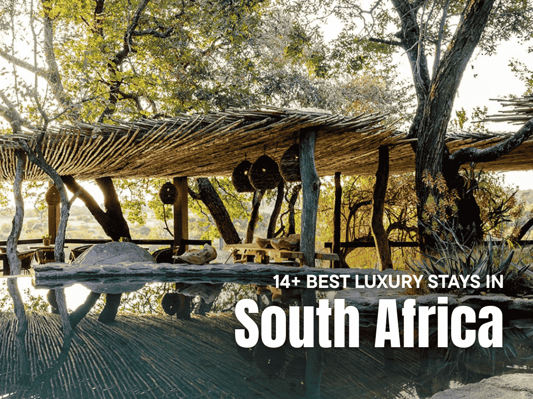 14+ Best Luxury Stays in South Africa [Safari Lodges to Coastal Resorts – 2025]
