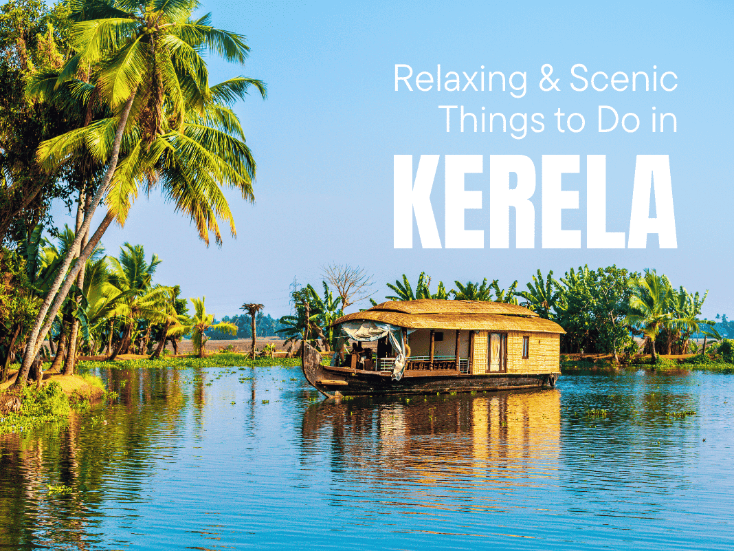 18+ Relaxing & Scenic Things to Do in Kerala [Backwaters, Ayurveda & Tea Hills – 2025]