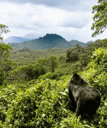 Rwanda