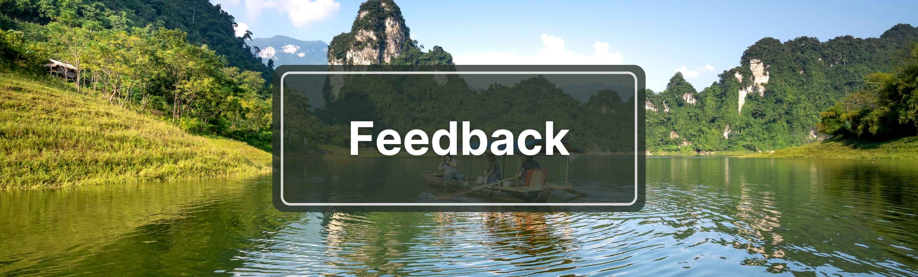 Feedback