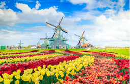 Netherlands